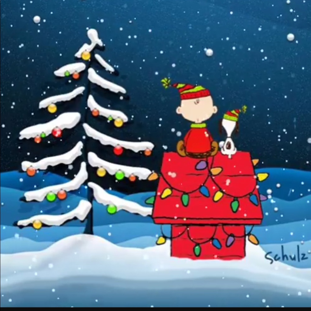 Meet your Posher, Michele